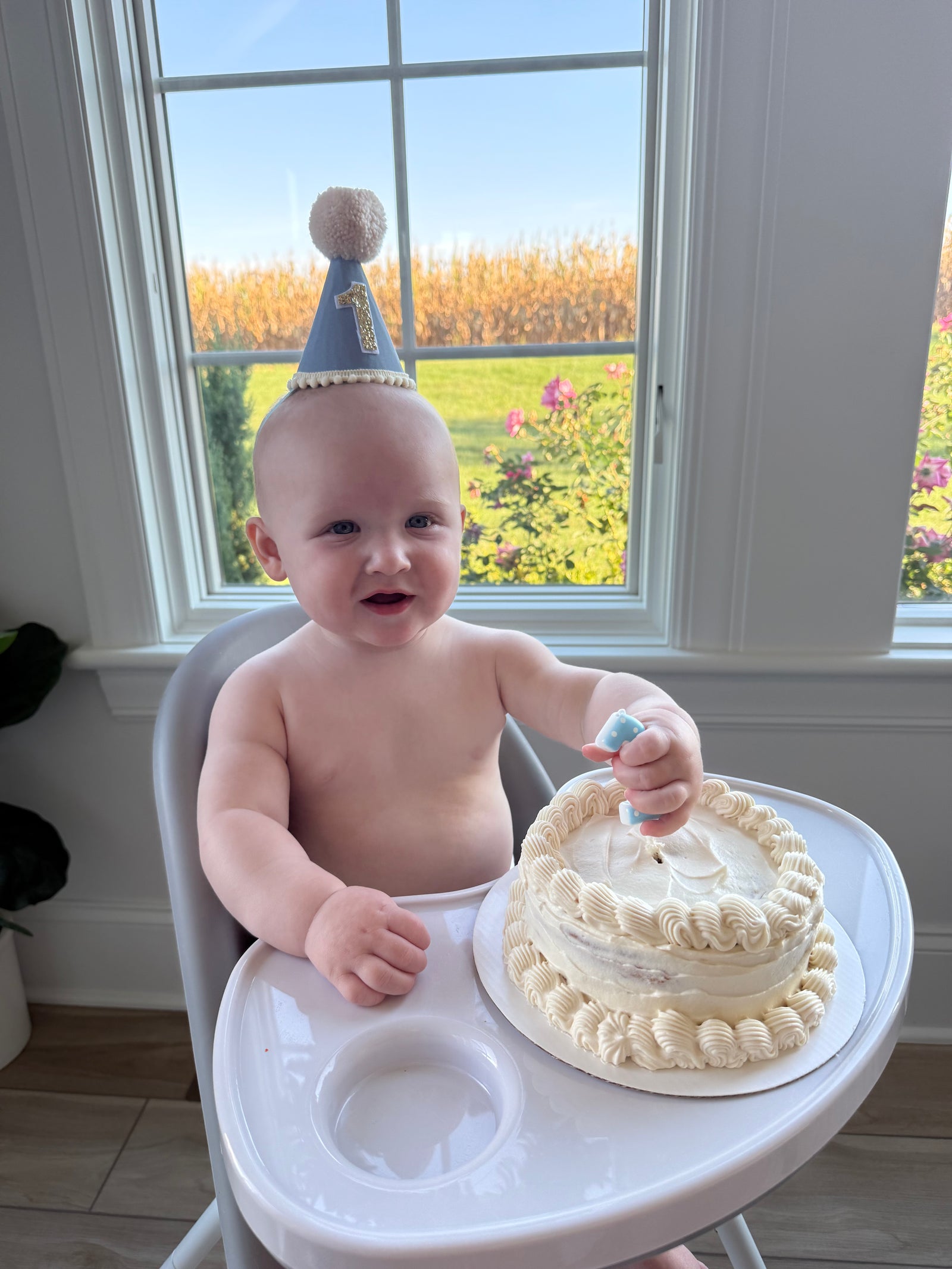 2 Layered Paleo Smash Cake