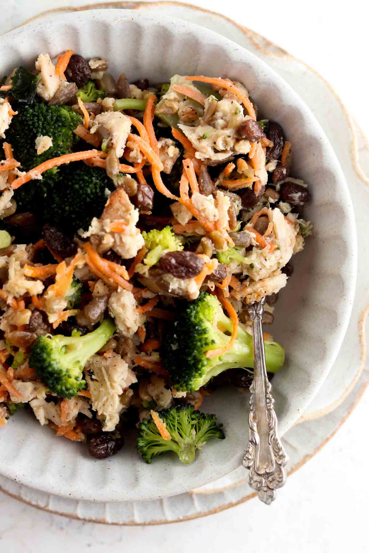 NEW! Family Portion of Vidalia Onion Chicken and Broccoli Bowl  - FAMILY Portion