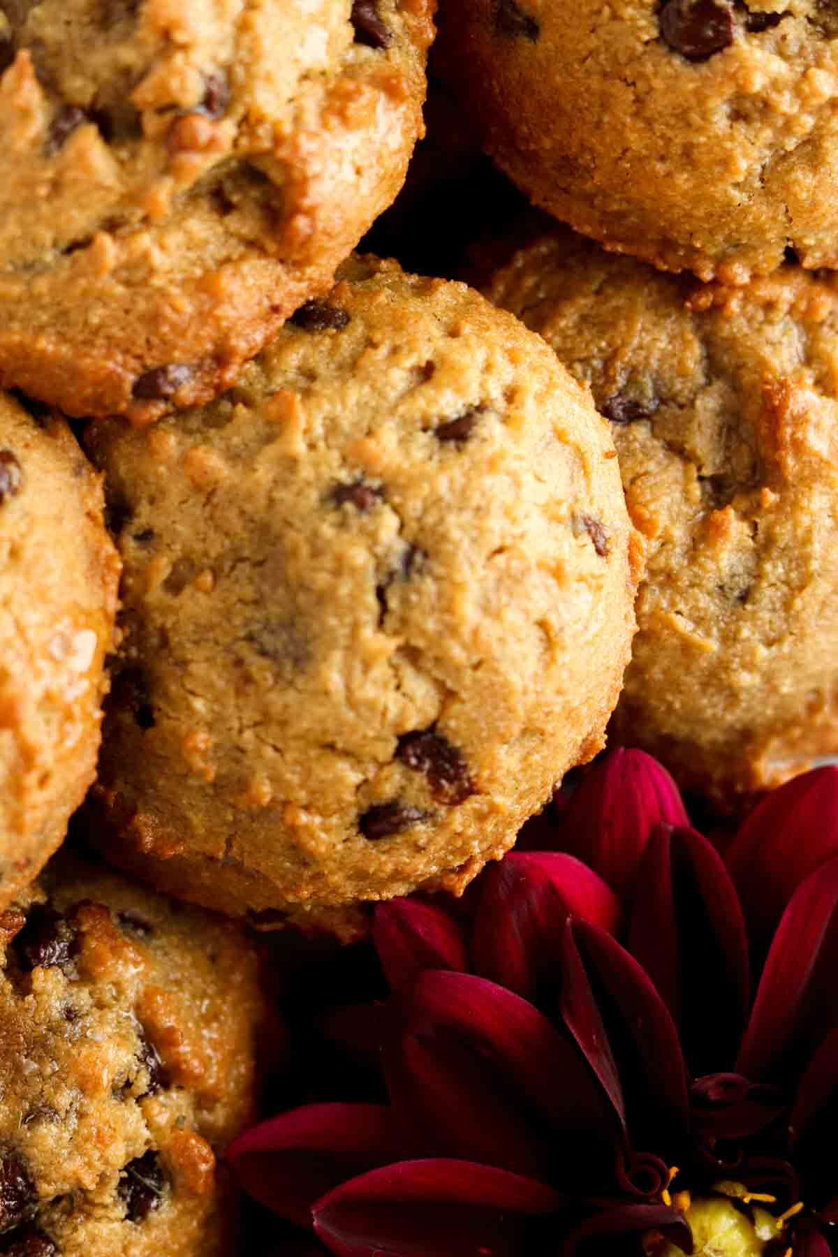 Allianna's Favorite Chocolate Chip Cookies - Single